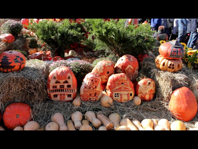 Weekend in Moscow Golden Autumn   Fair  23 09 2017