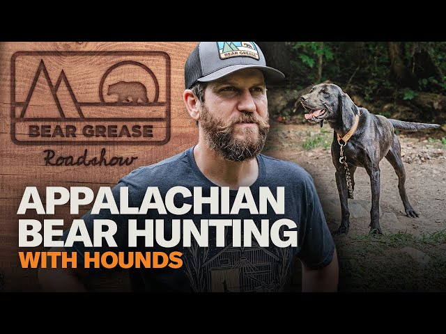 Appalachian Bear Hunting with Hounds | Bear Grease Roadshow