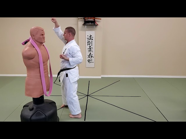 Toraguchi Skills & Drills - Gekisai on Kakete Biki