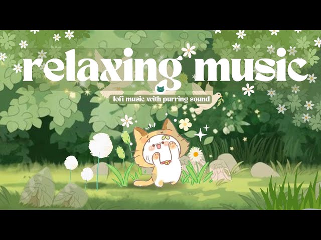 𝐏𝐥𝐚𝐲𝐥𝐢𝐬𝐭 Relaxing Music 🍀🌈 Purring Sound 🐱✨ 1 Hour Lofi Cute Mix 🎧 ( study/aesthetic/chill/cafe )