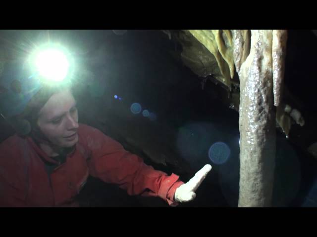 Restoring Rats Nest Cave