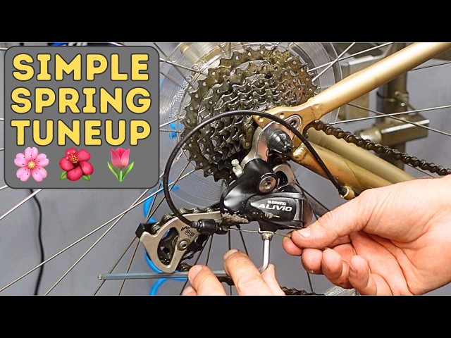 Easy DIY Spring Bicycle Tuneup! Save $100+ and Do It Yourself!