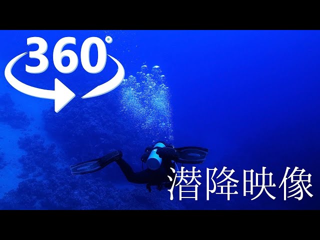 【360°映像】ダイビングの潜降をVRで体感（Virtual Diving）