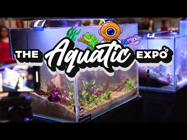 3D Printed Aquarium Decor | Reptiles | New Foods! | Aquatic Expo 2025