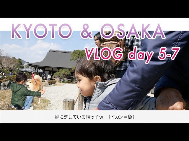 Liburan di jepang sekeluarga! Dewi Nikki Vlog Day 5-7 (Osaka, Kyoto)