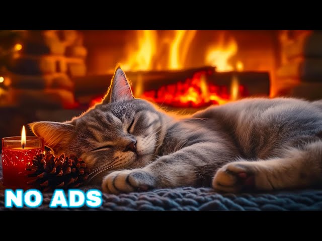 Relaxing Cat Music 🐈 Anxiety relief music for cats, Soothe your cat with our piano music no ads