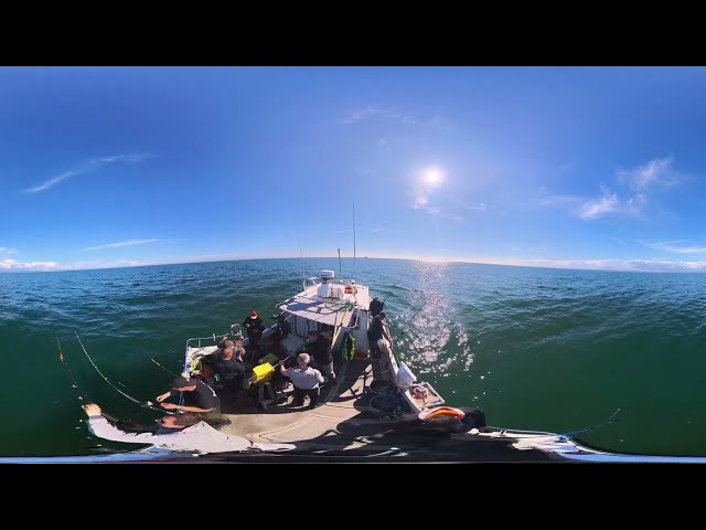 Boat Fishing in the English Chanel Shoreham by Sea,West Sussex 360