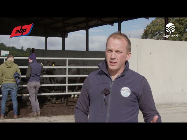 Highlights from the 2024 ABP Demo Farm open day