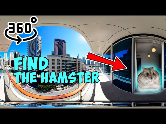 360 find the hamster in a 3D world. 3 searches of 10 seconds. Set the video quality to maximum.