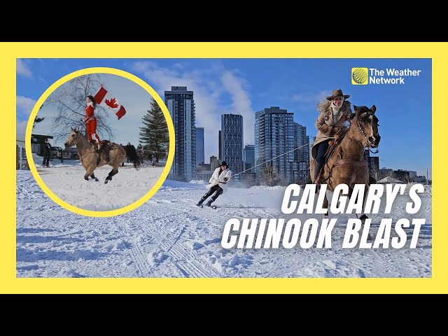 See Why Skijoring Is The Fastest Growing Winter Sport In North America