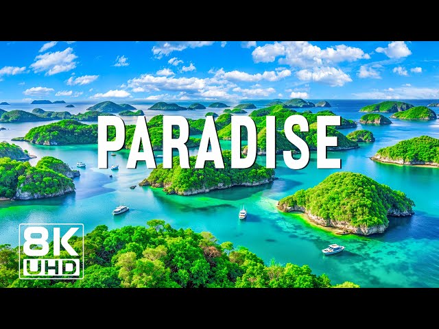 Paradise 8K UHD - Dive into Tranquil Seas and Exotic Natural Beauty