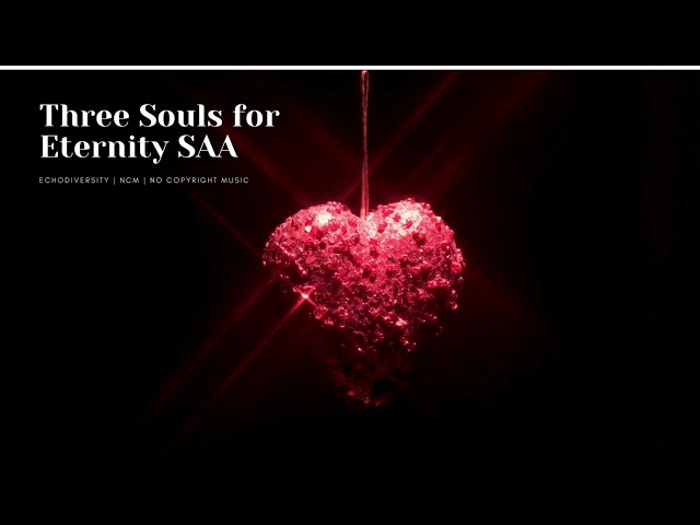 Three Souls for Eternity |NO COPYRIGHT MUSIC| With Lyrics #house #dnb