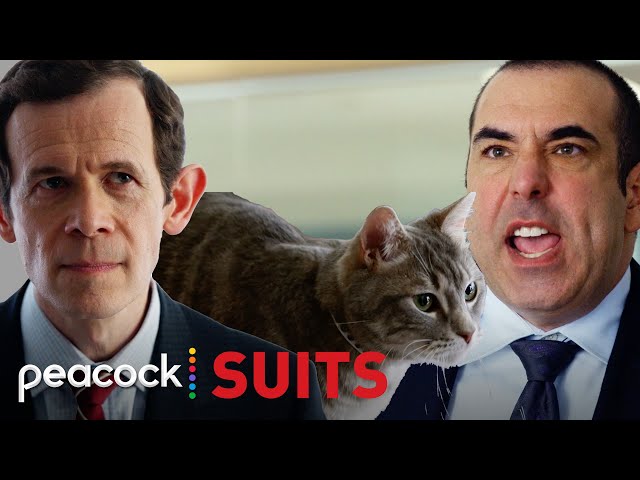 Louis and Nigel's Cat Fight | Suits