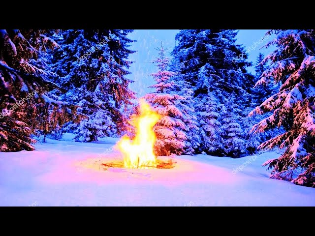 Snowstorm, wind, crackling fire in winter forest  Winter atmosphere sounds for sleep, relaxation