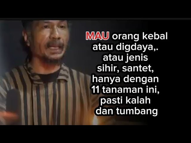 Tanaman yang sangat di takuti oleh sihir, santet atau orang sakti lainnya(@Mbah Yadi Channel)