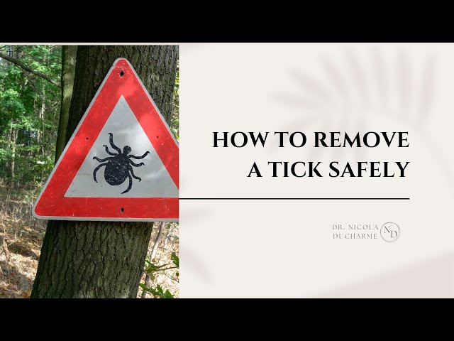 How do you remove a tick safely?