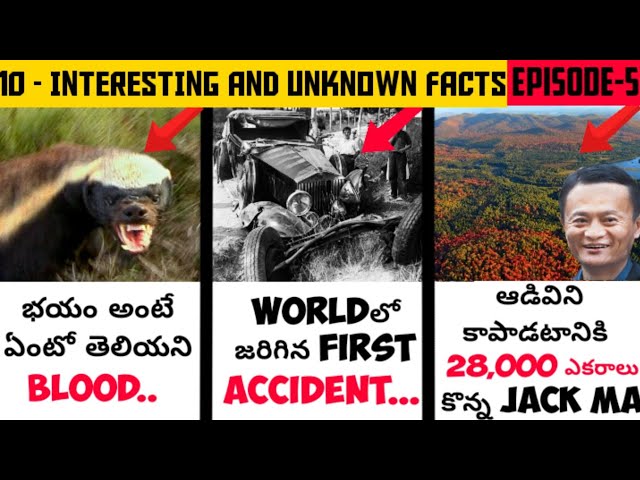 🛡️TOP 10 INTERESTING AND UNKNOWN FACTS IN TELUGU || FACTS IN TELUGU || EPISODE 5 || SATYA FACTS