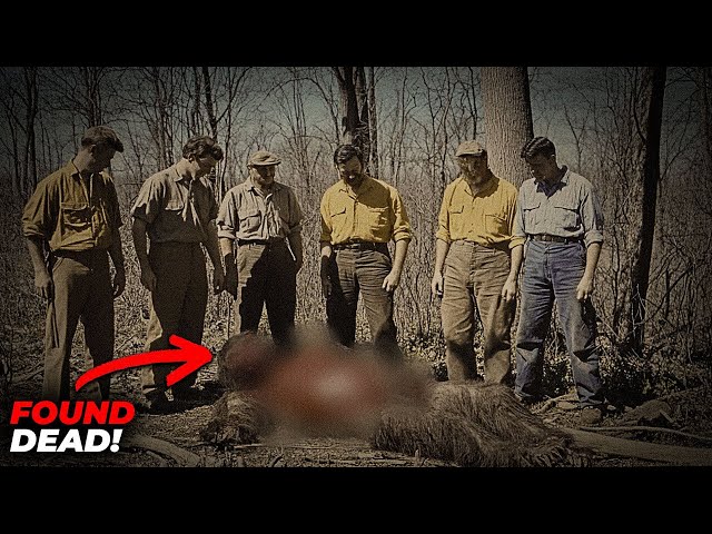 BIGFOOT Sighting CONFIRMED by Research Team!