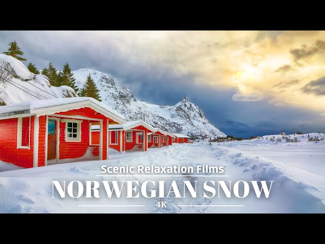 4K Norway's Snowy Serenity | 4K Scenic Relaxation with Soothing Music