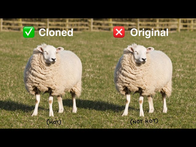 Why Are We So Fascinated By Cloning?