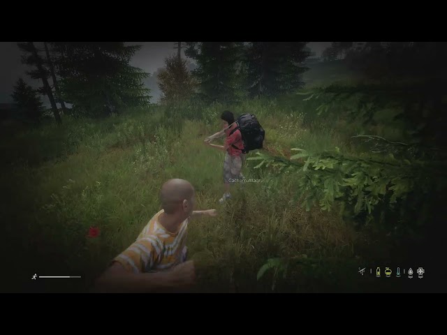 DayZ_fists to a sword fight