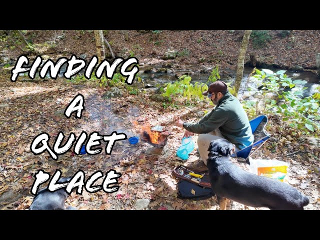 Solo Camping next to creek ASMR