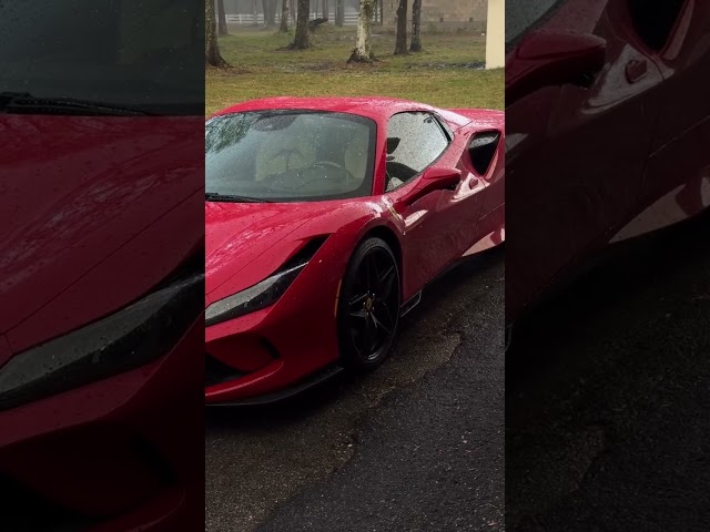 Carinakopf shares her new Ferrari