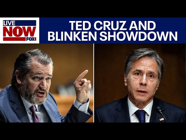 Ted Cruz grills Blinken over Israel War, Hamas funding, Iran President dead | LiveNOW from FOX