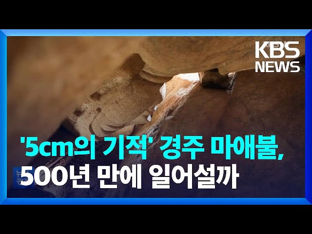 ‘5cm의 기적’ 경주 마애불, 500년 만에 일어설까 [문화광장] / KBS  2023.01.12.