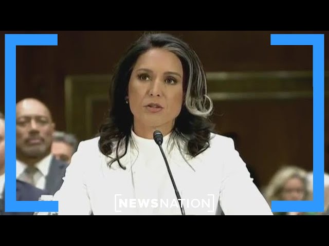 Confirmation vote for RFK Jr., Tulsi Gabbard expected | NewsNation Live