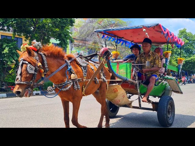 NAIK KUDA - KUDA DELMAN - ONDEL ONDEL - BADUT LUCU JOGET - TOPI SAYA BUNDAR - NAIK DELMAN ISTIMEWA