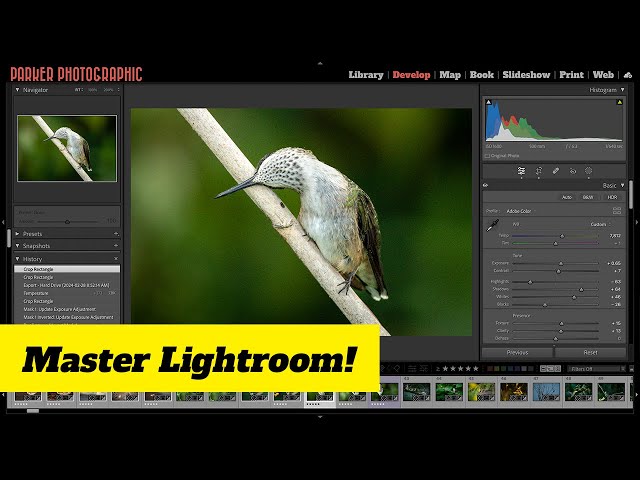 Lightroom Classic 101 for Beginners