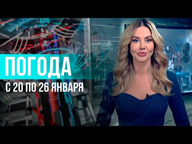 Погода на неделю 20 – 26 января 2025. Прогноз погоды. Беларусь | Метеогид