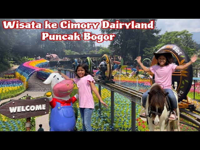 Wisata Ke Cimory Dairyland Farm Theme Park di Puncak Bogor