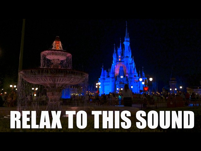 Serene Sounds of The Magic Kingdom Disney World