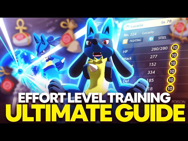 ULTIMATE Effort Level Training Guide in Pokemon Legends Arceus