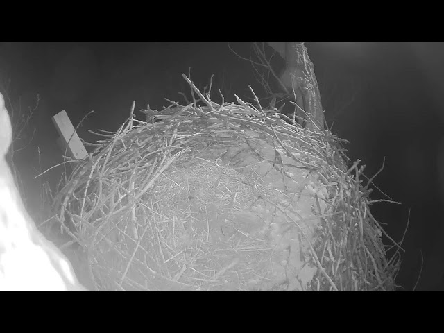 Fort St. Vrain Eagles, Top Camera View