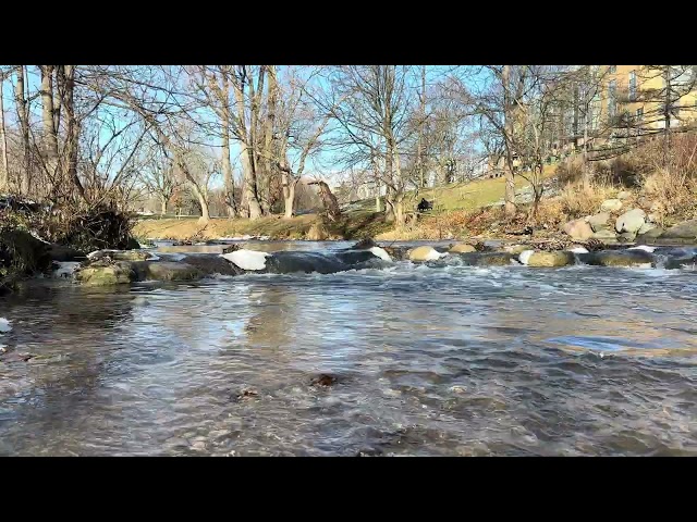 Gentle Birds Healing Song, Mountain Stream Water Flowing Sounds to Eliminate Depression,and Anxiety