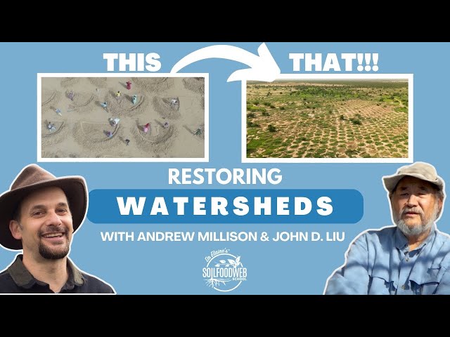 Restoring Watersheds with Andrew Millison & John D. Liu