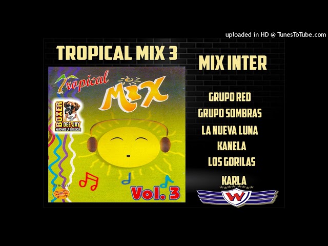 TROPICAL MIX VOL 3 - INTERMIX (ARTISTAS VARIOS)