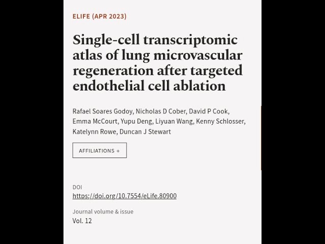 Single-cell transcriptomic atlas of lung microvascular regeneration after targeted en... | RTCL.TV