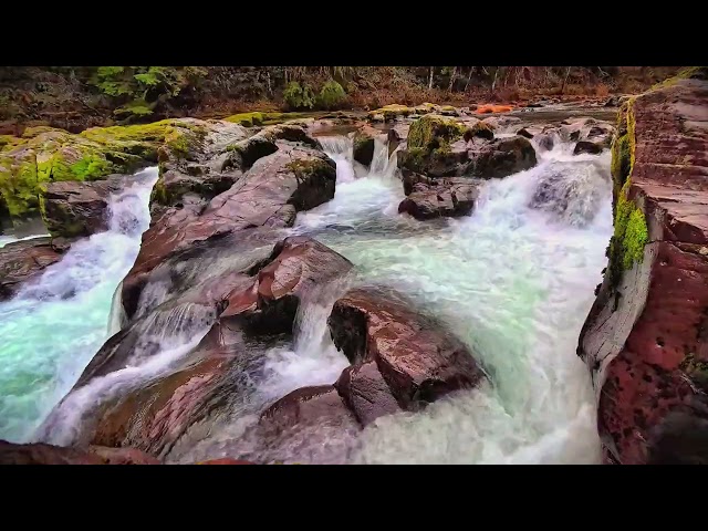 Raging River & Birdsong | Nature Sounds for Sleep, Relaxation & Study [4K UHD]