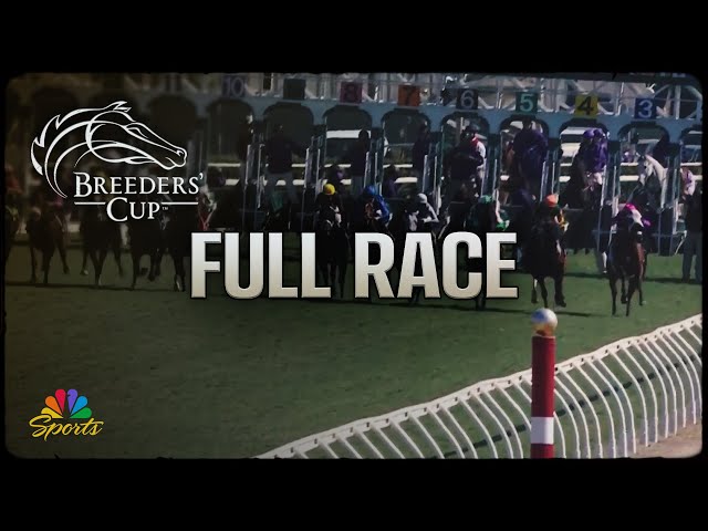 Breeders' Cup 2024: Turf Sprint (Full Race) | NBC Sports