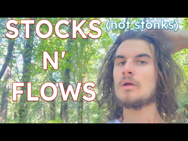 Stocks and Flows || Systems Theory