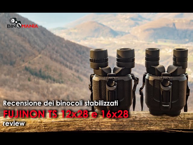 Review of stabilized binoculars Fujinon TS12x28 and TS 16x28