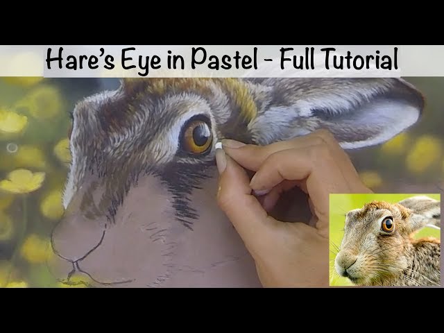 Hare's Eye on Pastelmat - Full Length Tutorial