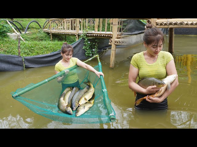 Harvesting Fishing At Fish Pond Go To Sell At Village Market - Cook delicious fish hotpot