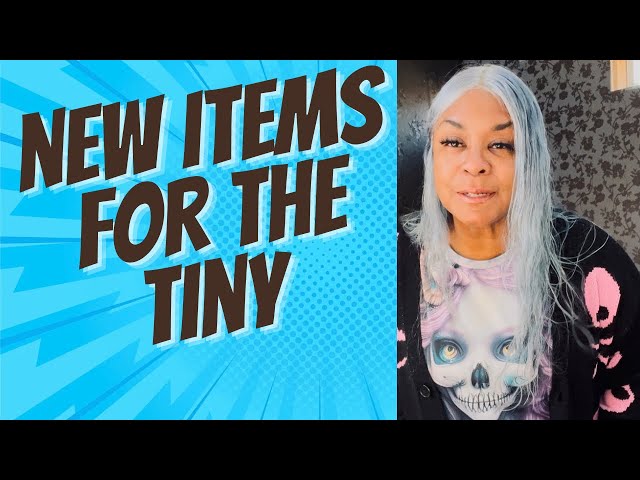 TINY HOME MANOR UPDATE| ​WAYFAIR KITCHENETTE NEW TOILET| PLUS BIG NEWS  #respect #life #subscribe