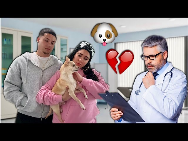 We Had To Take Our Dog To The Vet! *emotional*