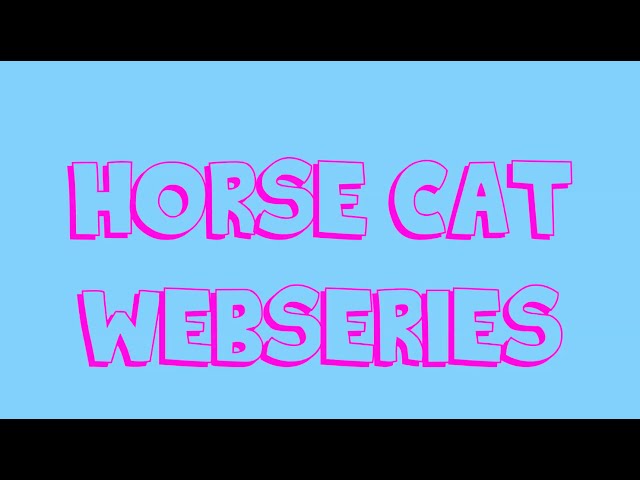 Horse Cat - the webseries where a Horse interviews a Cat